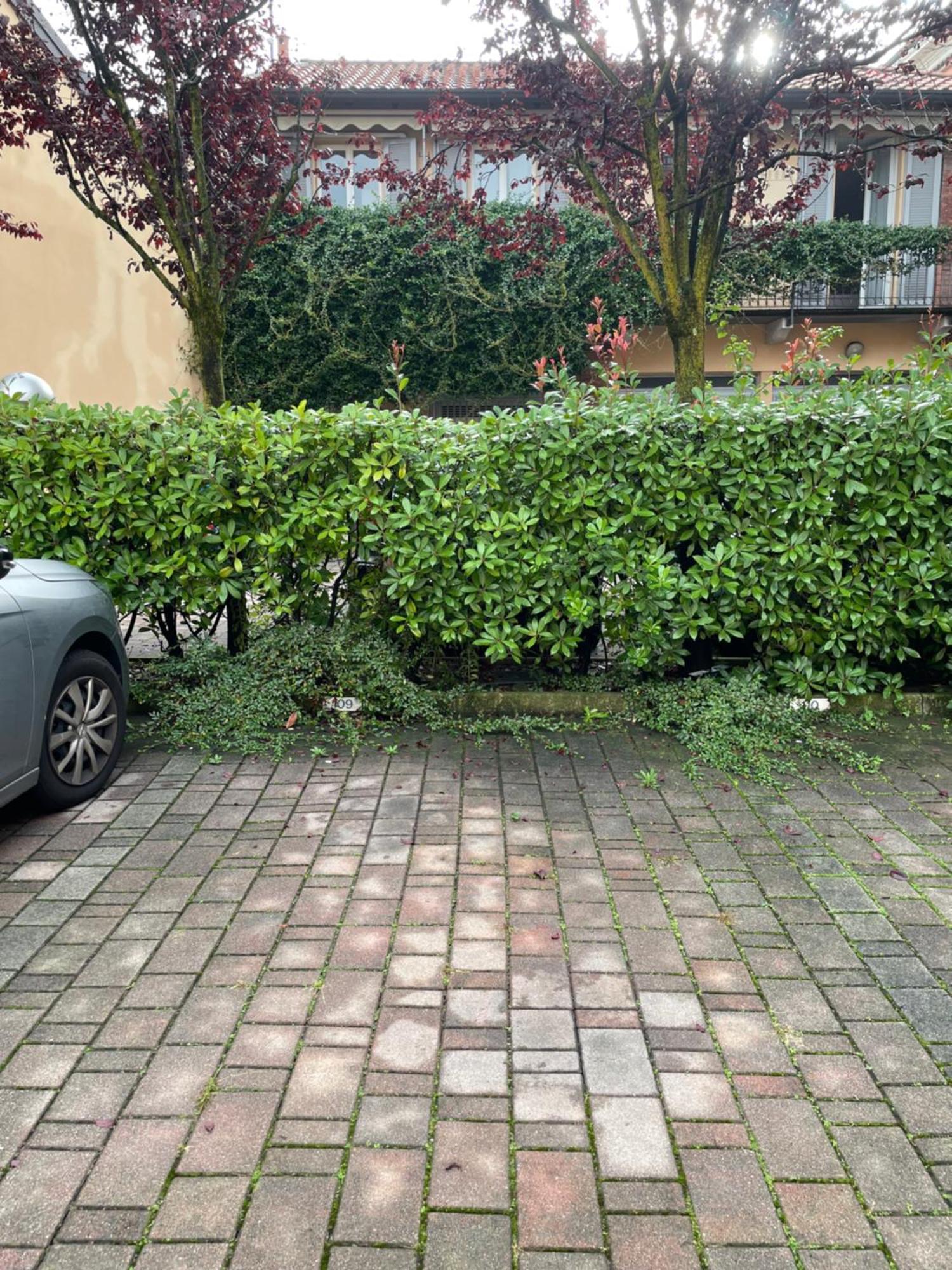Gelsomino Appartamento Con Posto Auto Nel Centro Di Monza Eksteriør billede
